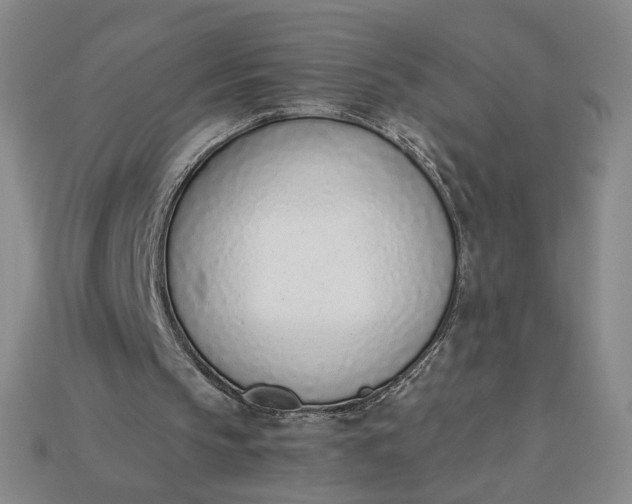 X0000115250145200911131732