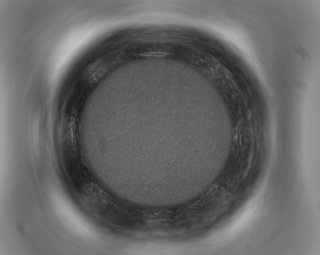 X0000115250146200911131732