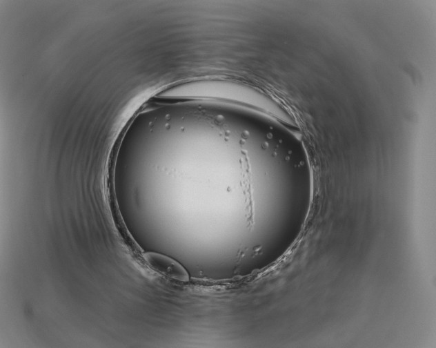 X0000115250147200911131732