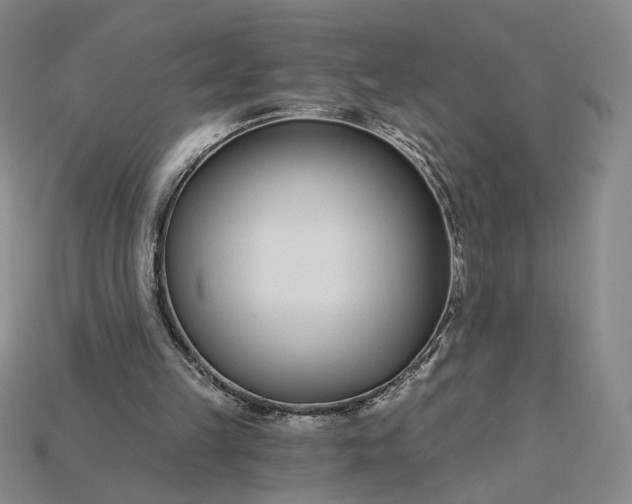 X0000115250149200911131732