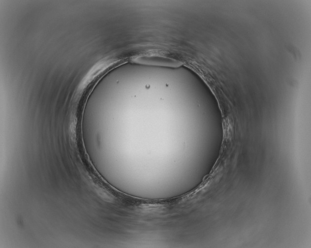 X0000115250150200911131732