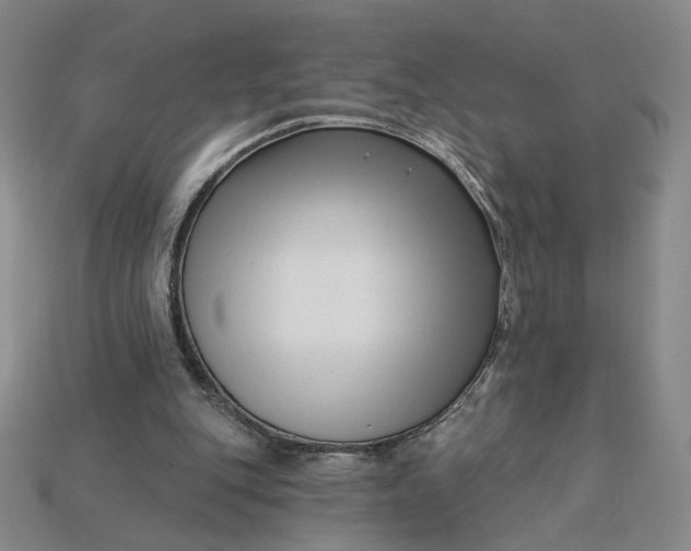 X0000115250151200911131732