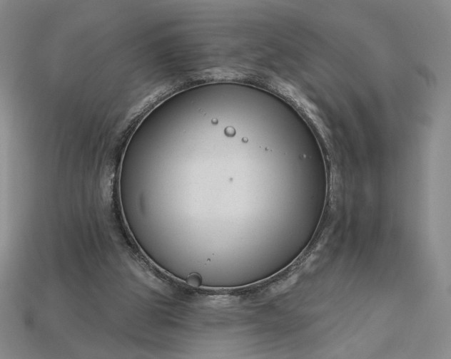 X0000115250153200911131732