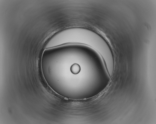 X0000115250154200911131732