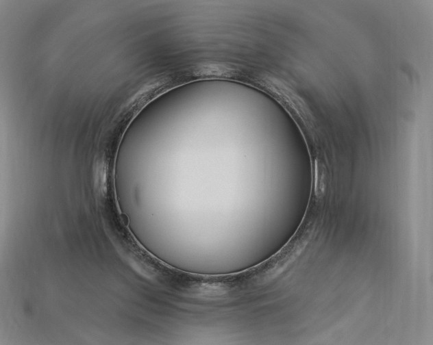 X0000115250157200911131732