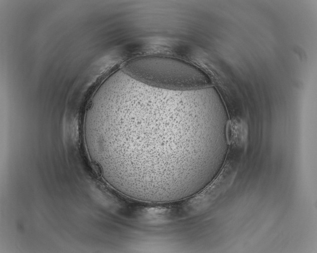 X0000115250158200911131732