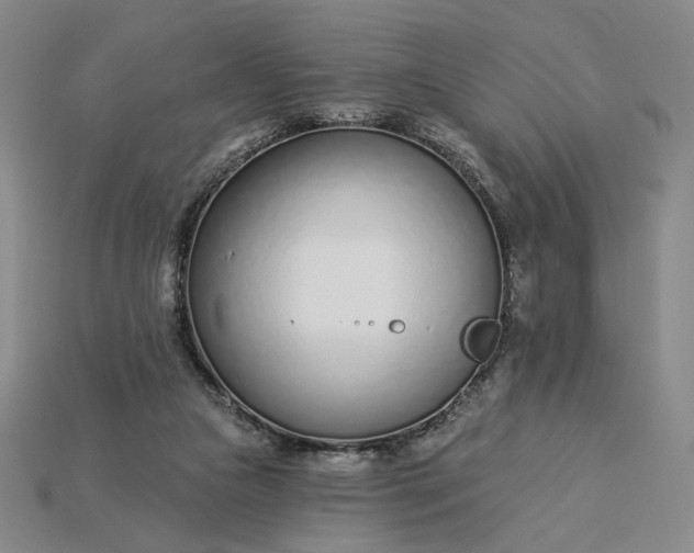 X0000115250161200911131732