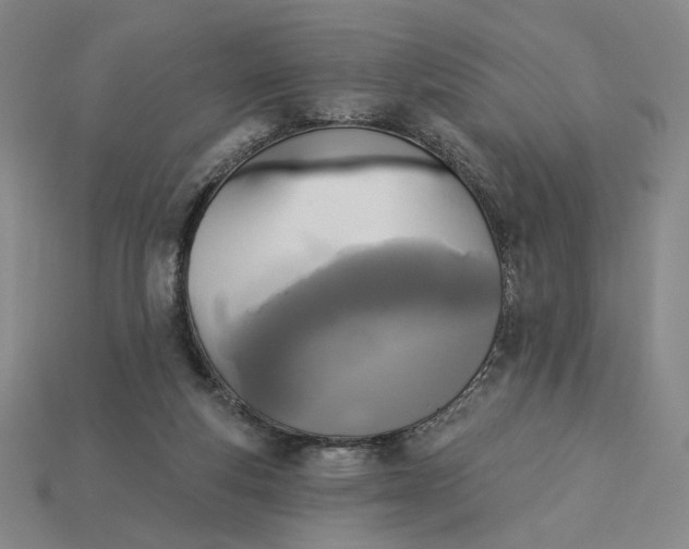 X0000115250163200911131732