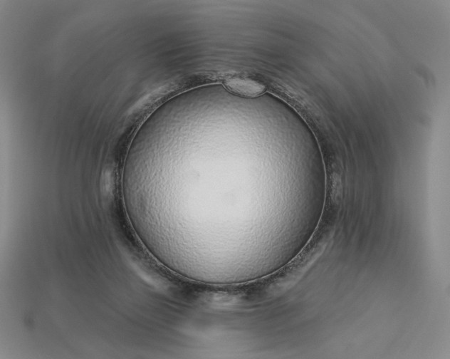 X0000115250165200911131732