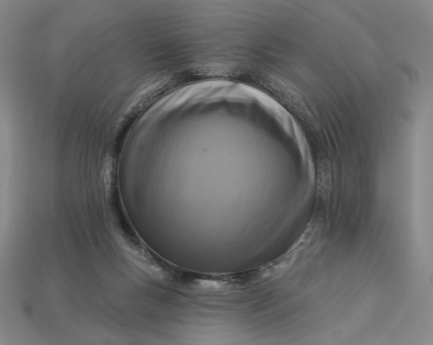 X0000115250167200911131732