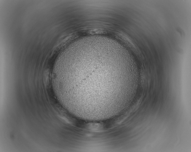 X0000115250169200911131732