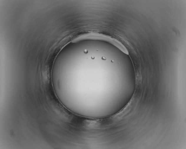 X0000115250170200911131732