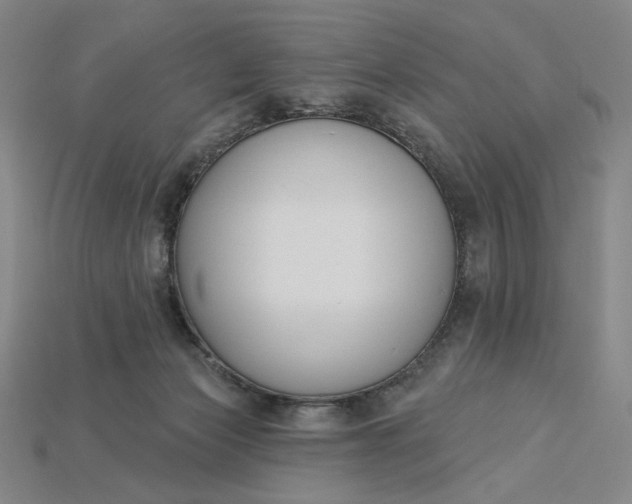 X0000115250173200911131732