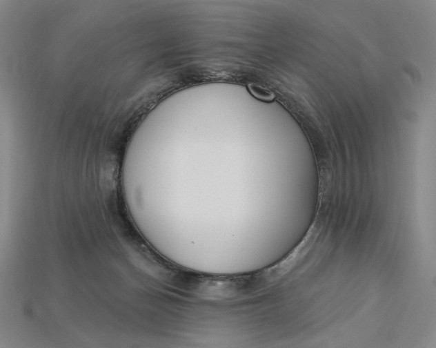 X0000115250174200911131732