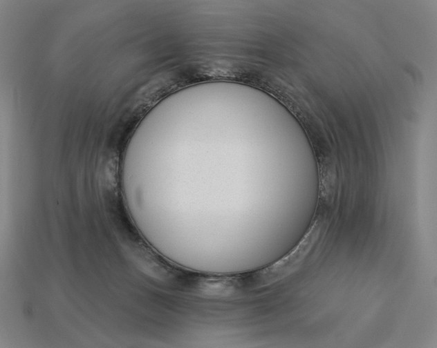 X0000115250175200911131732