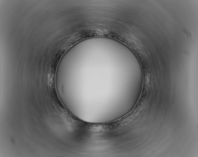 X0000115250177200911131732