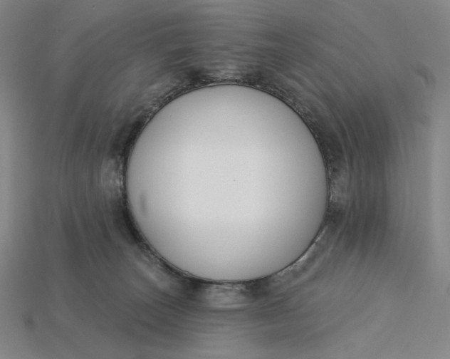 X0000115250179200911131732