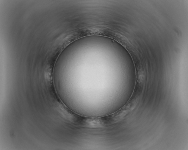 X0000115250181200911131732