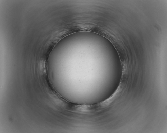 X0000115250182200911131732