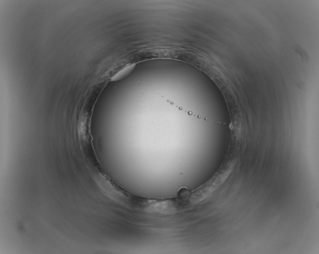 X0000115250185200911131732