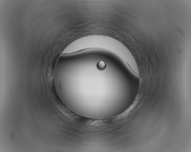 X0000115250186200911131732