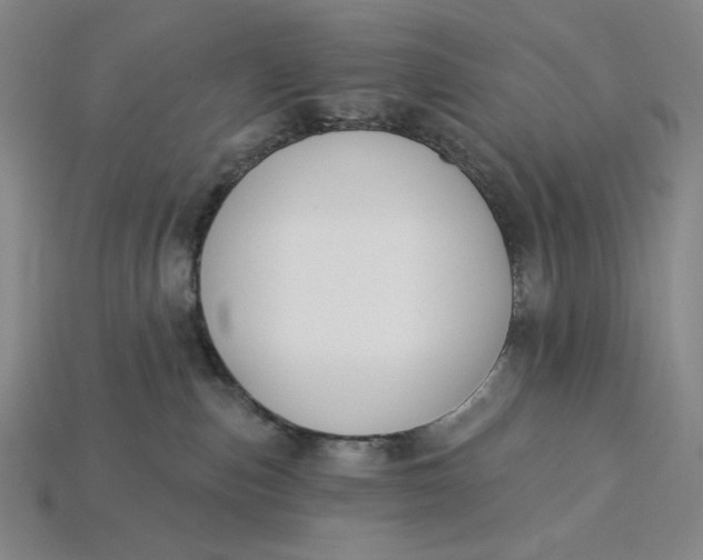 X0000115250187200911131732