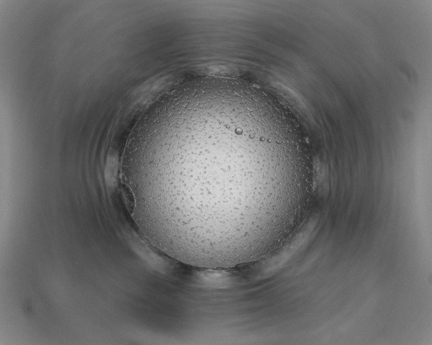 X0000115250189200911131732