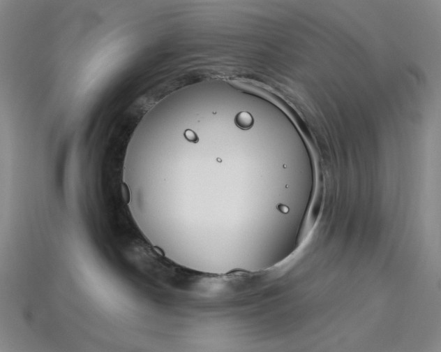 X0000115250190200911131732