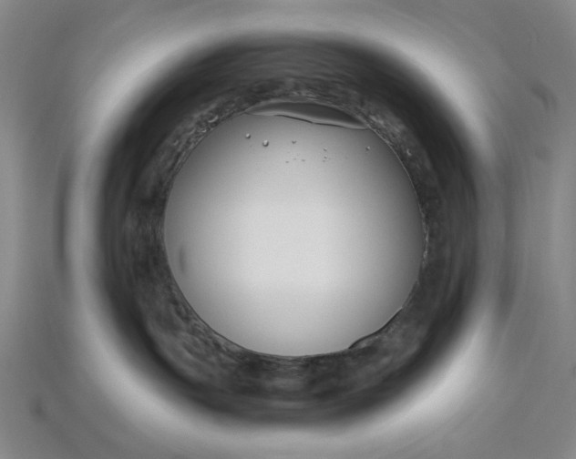 X0000115250191200911131732