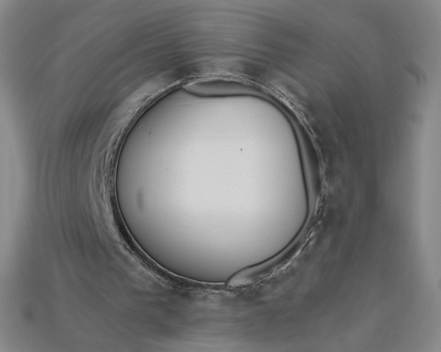 X0000115250193200911131732