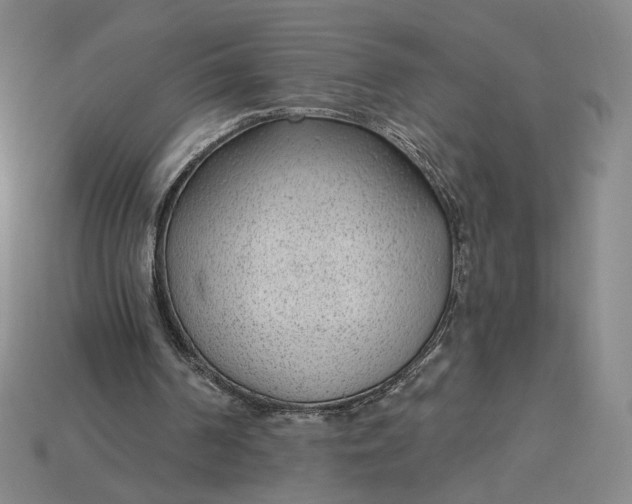 X0000115250194200911131732