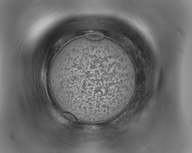 X0000115250195200911131732