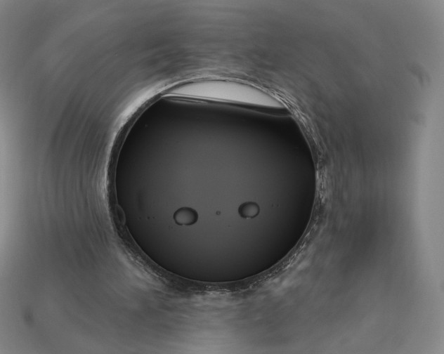 X0000115250196200911131732