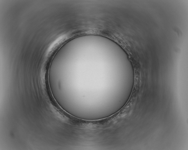 X0000115250197200911131732