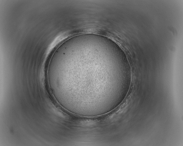 X0000115250198200911131732