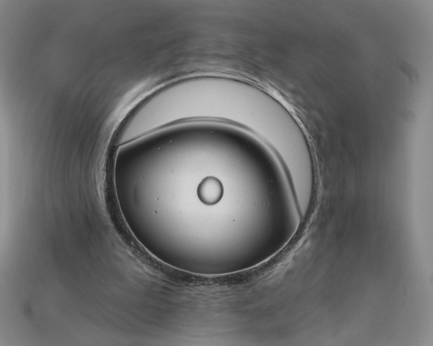 X0000115250199200911131732