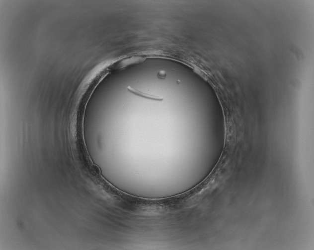 X0000115250200200911131732