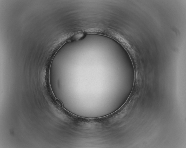 X0000115250201200911131732