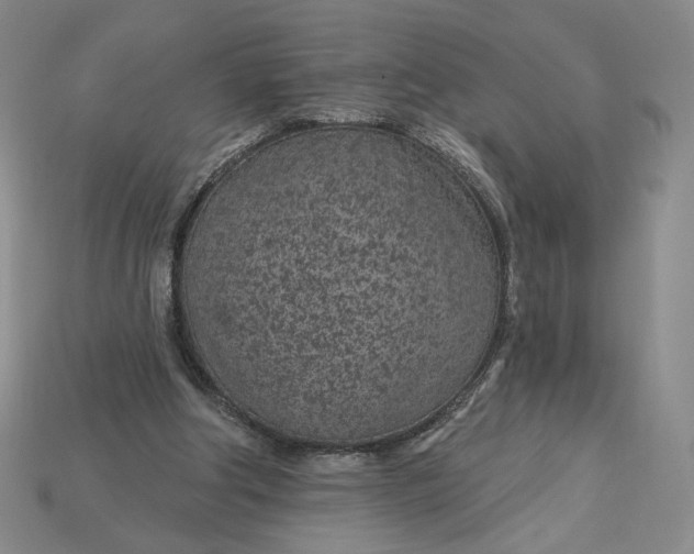 X0000115250202200911131732