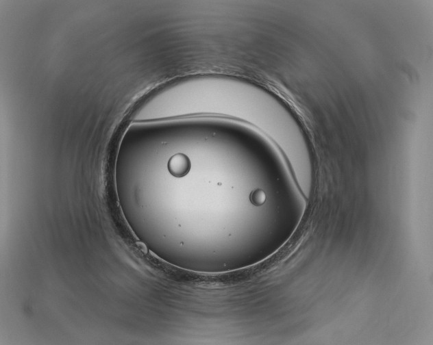 X0000115250203200911131732