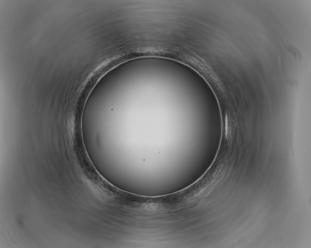 X0000115250204200911131732