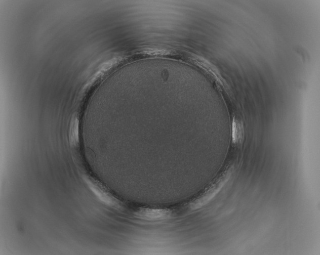 X0000115250205200911131732