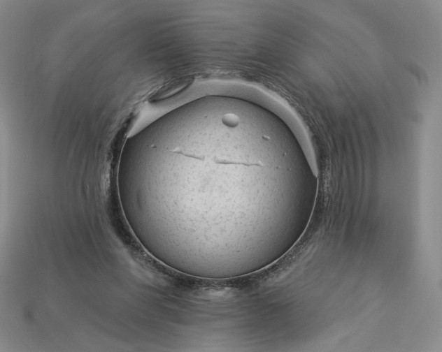 X0000115250206200911131731