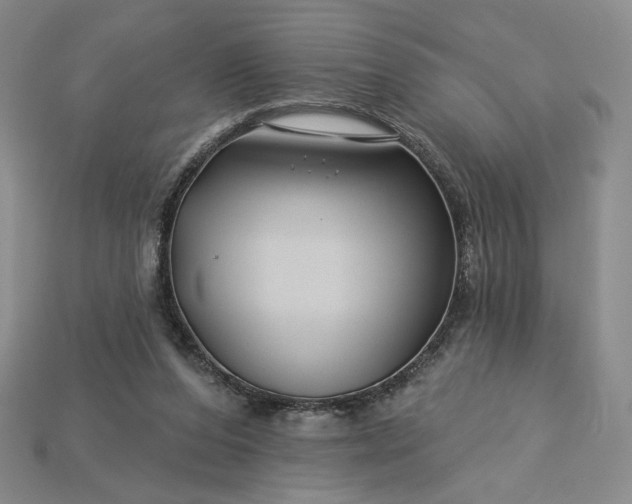 X0000115250208200911131731