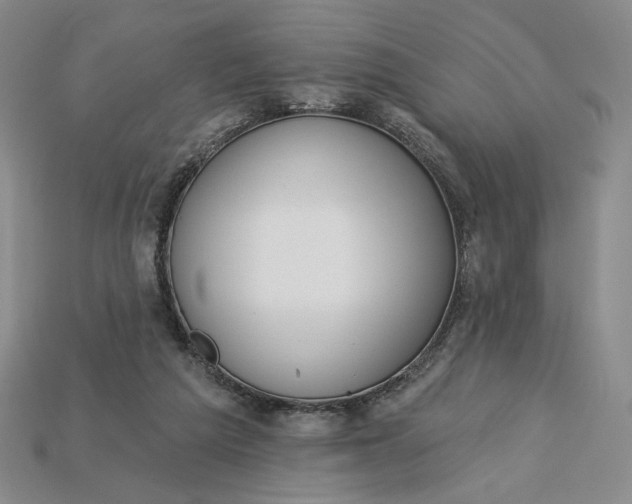 X0000115250209200911131731