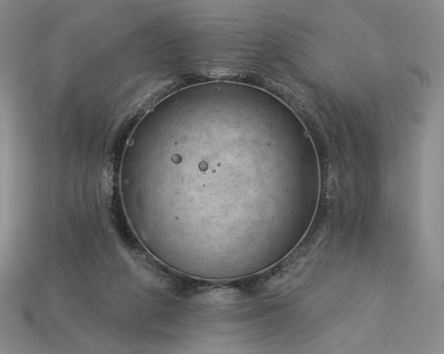 X0000115250210200911131731