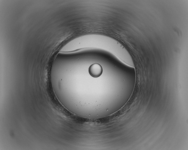 X0000115250211200911131731