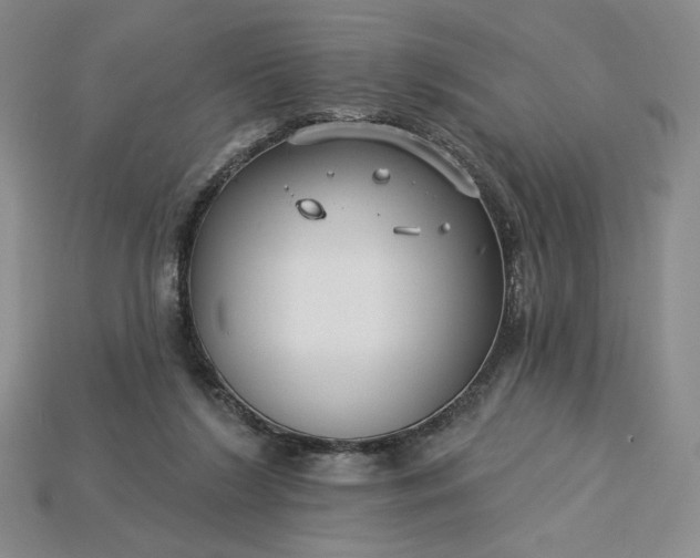 X0000115250212200911131731