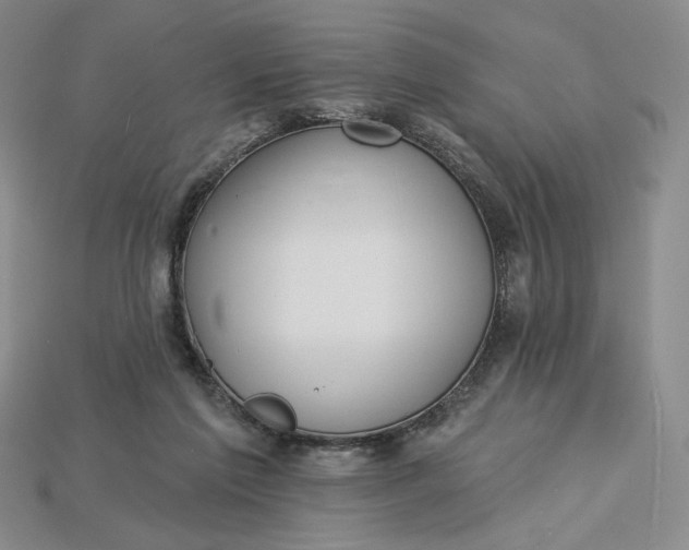 X0000115250213200911131731