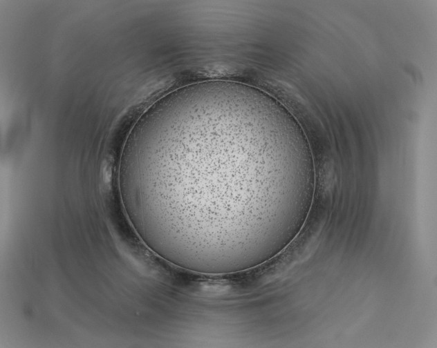 X0000115250214200911131731